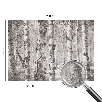 Photo wallpaper Birch forest