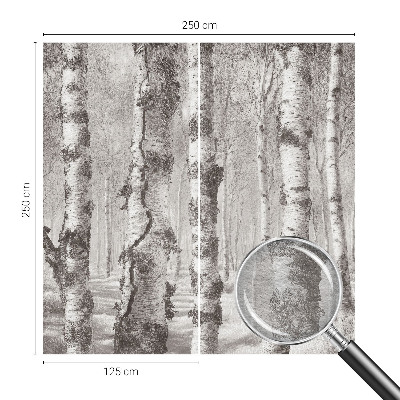 Photo wallpaper with a birch forest motif