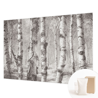 Photo wallpaper with a birch forest motif