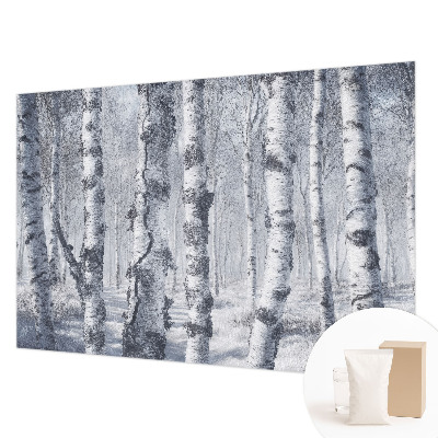 Photo wall mural with a frosty nature scene