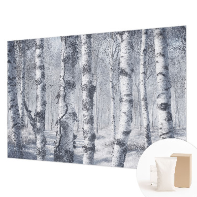 Photo wall mural with a frosty nature scene