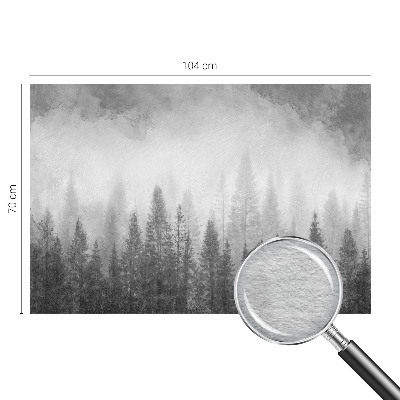 Modern wall mural for living room featuring a foggy forest scene