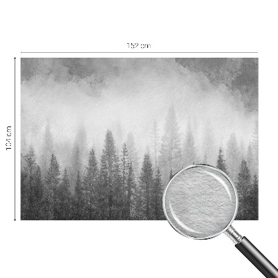 Modern wall mural for living room featuring a foggy forest scene