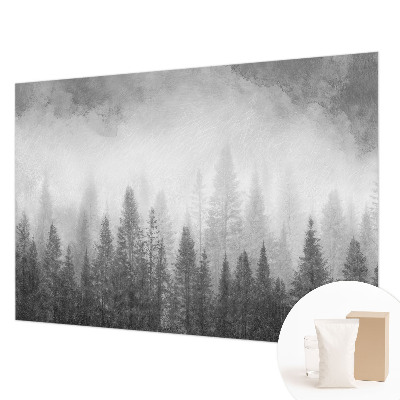 Modern wall mural for living room featuring a foggy forest scene