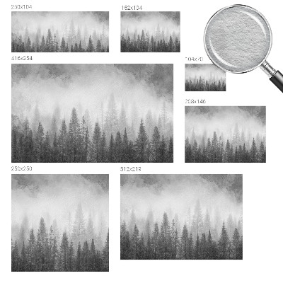 Modern wall mural for living room featuring a foggy forest scene