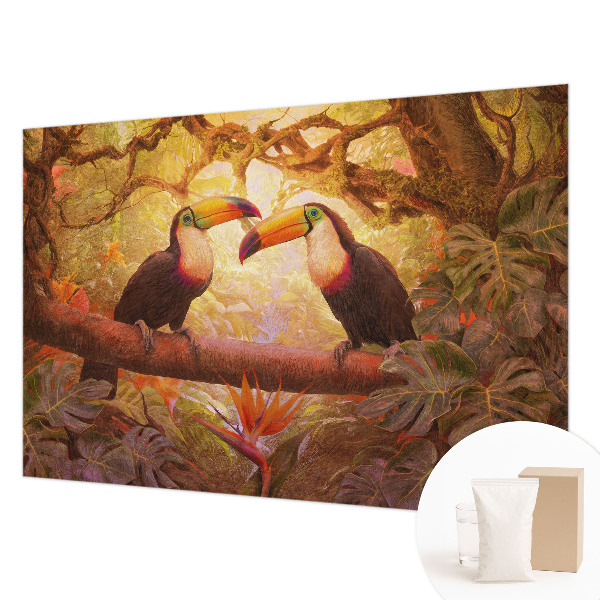 Bedroom wall mural wallpaper with a colorful toucan design