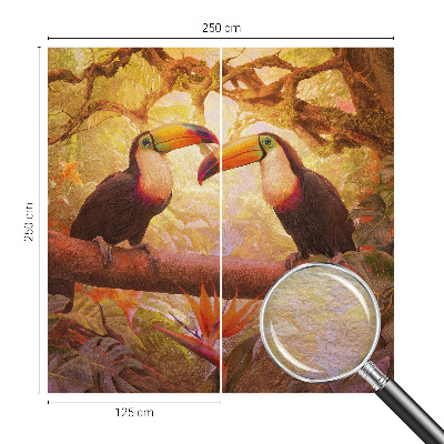 Bedroom wall mural wallpaper with a colorful toucan design