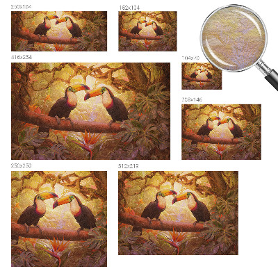 Bedroom wall mural wallpaper with a colorful toucan design