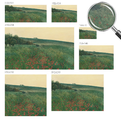 Modern wall mural for bedroom with a poppy fields design