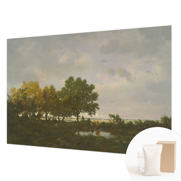High quality photo wallpaper featuring a forest landscape