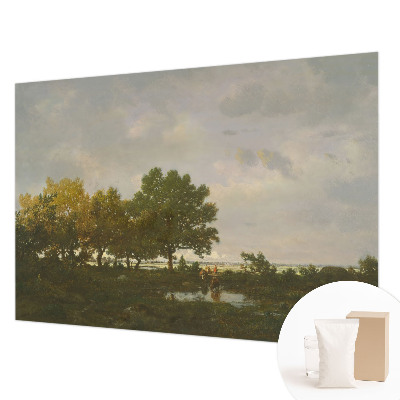 High quality photo wallpaper featuring a forest landscape