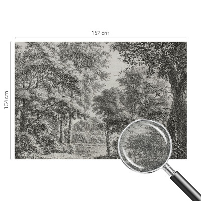 Non-woven wall mural with a forest scenery design