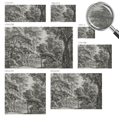 Non-woven wall mural with a forest scenery design