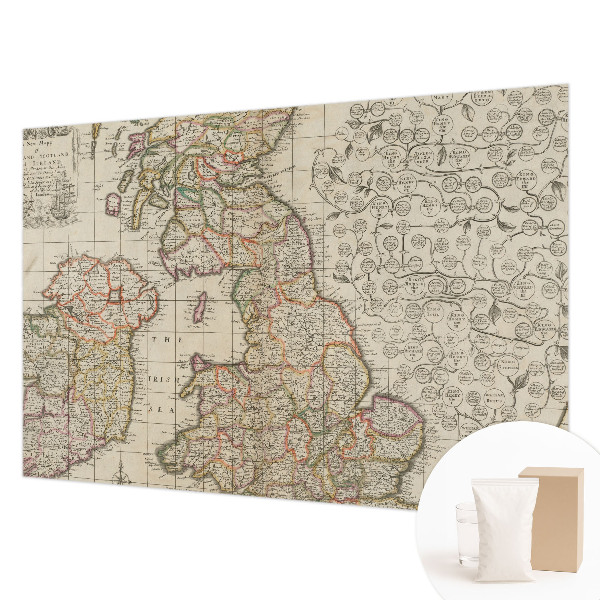 Large wall mural featuring an antique map design