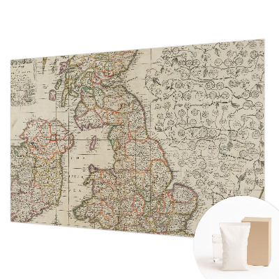 Large wall mural featuring an antique map design