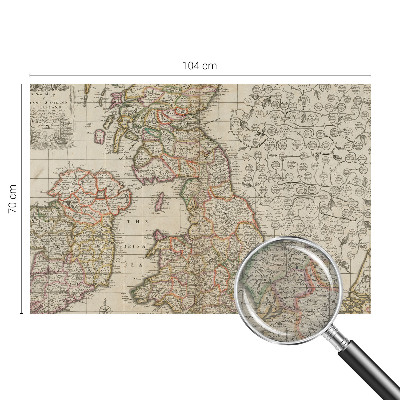 Large wall mural featuring an antique map design