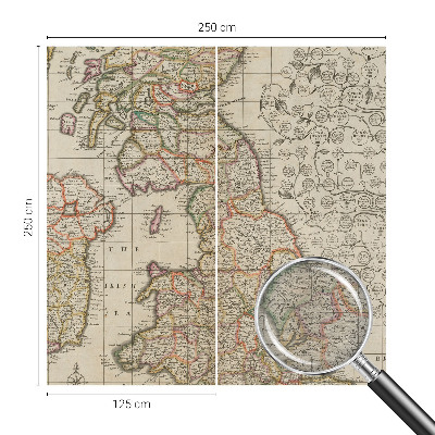 Large wall mural featuring an antique map design