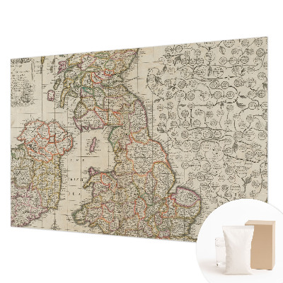 Large wall mural featuring an antique map design