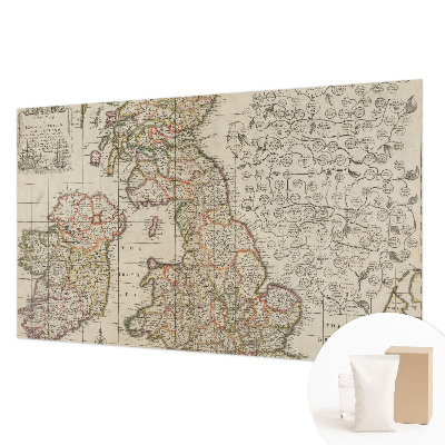 Large wall mural featuring an antique map design