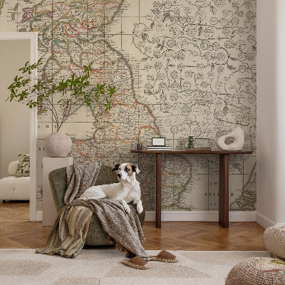 Large wall mural featuring an antique map design