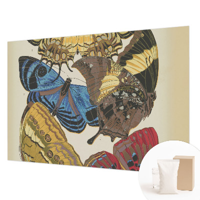 Modern wall mural inspired by butterflies