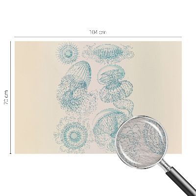 Modern wall mural for living room with a sea jellyfish design