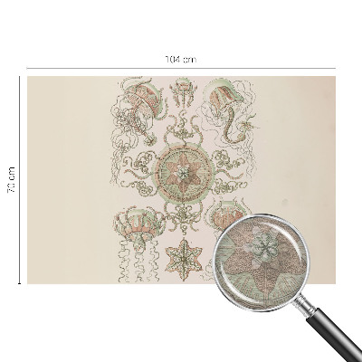 High quality photo wallpaper with an underwater world motif