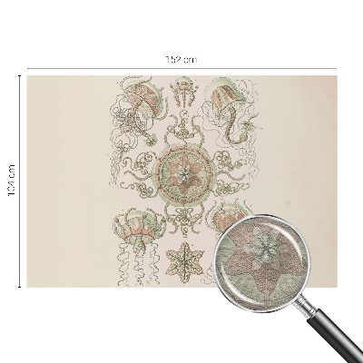 High quality photo wallpaper with an underwater world motif
