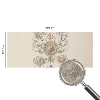 High quality photo wallpaper Underwater world