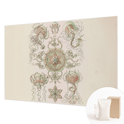 High quality photo wallpaper with an underwater world motif