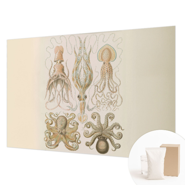 High quality wall mural wallpaper with a sea life design