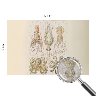 High quality wall mural wallpaper with a sea life design