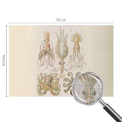 High quality wall mural wallpaper with a sea life design
