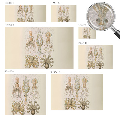 High quality wall mural wallpaper with a sea life design