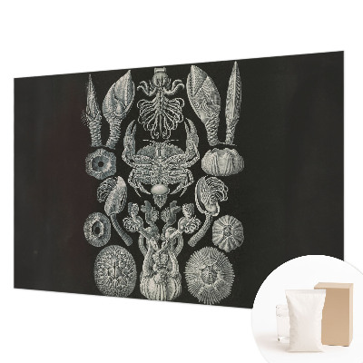 Premium wall mural for bedroom featuring underwater forms