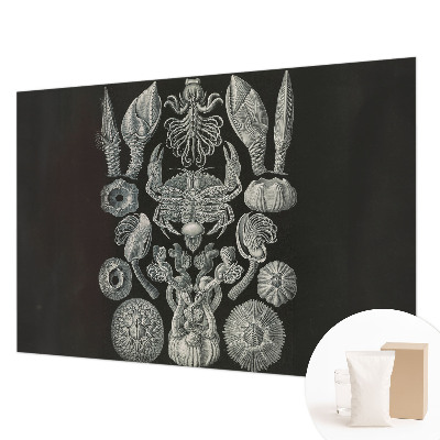 Premium wall mural for bedroom featuring underwater forms