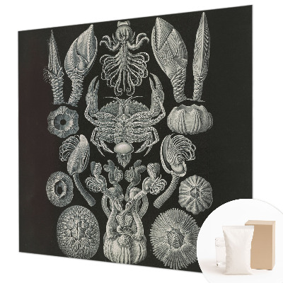 Premium wall mural for bedroom featuring underwater forms