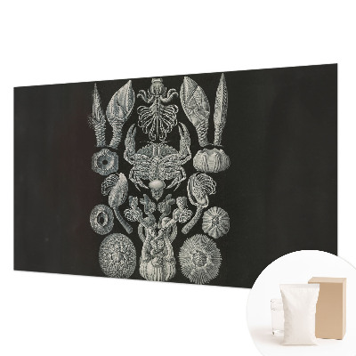 Premium wall mural for bedroom featuring underwater forms