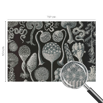 Premium photo wallpaper with a magical plants pattern