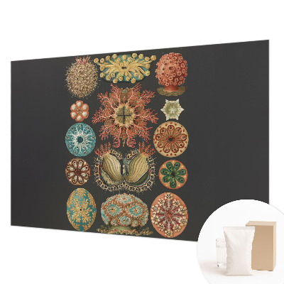 High quality wall mural wallpaper with a sea-inspired design