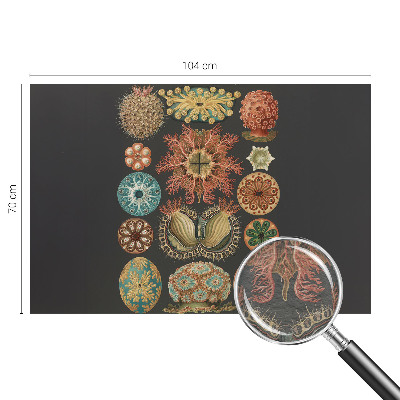 High quality wall mural wallpaper Sea inspirations