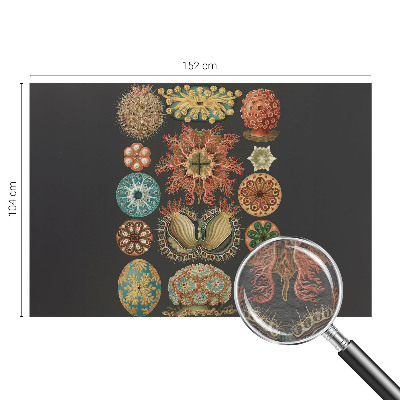 High quality wall mural wallpaper Sea inspirations