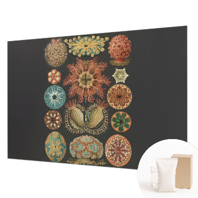 High quality wall mural wallpaper with a sea-inspired design
