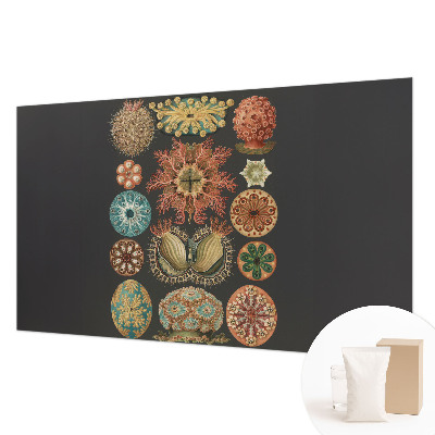 High quality wall mural wallpaper with a sea-inspired design