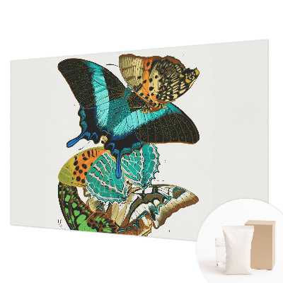 Wall mural with colorful butterflies