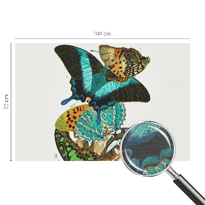 Wall mural Colorful butterflies