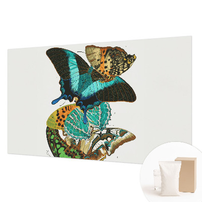 Wall mural with colorful butterflies