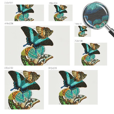 Wall mural with colorful butterflies