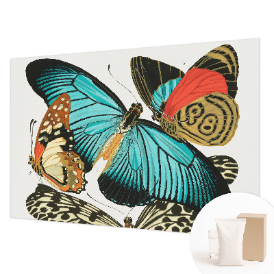 Wallpaper mural with a colorful butterfly design