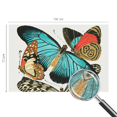 Wallpaper mural with a colorful butterfly design